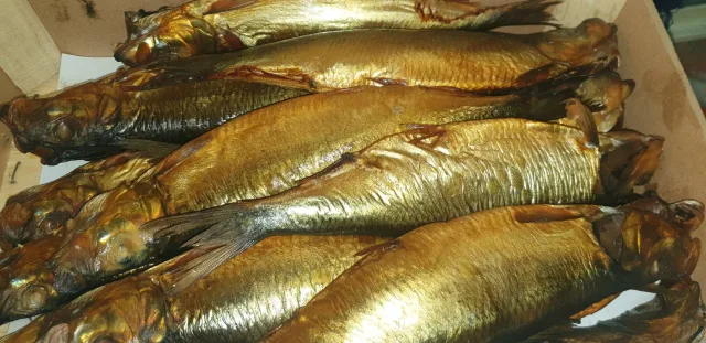 Omdah Fishery-مسمكة العمدة 4