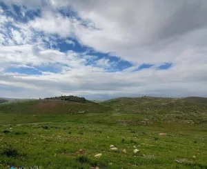 🌿 أرض مميزة للبيع – شفابدران / عمّان 🌿10 دونم و 294 متر – من المالك مباشرة📌 5