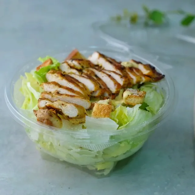 chickendizer 5