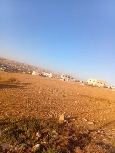 ارض للبيع في بلعما الزيتونة 8