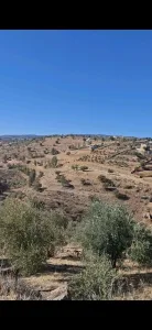 ارض مميزة وبسعر مميز السلط - الصبيحي
