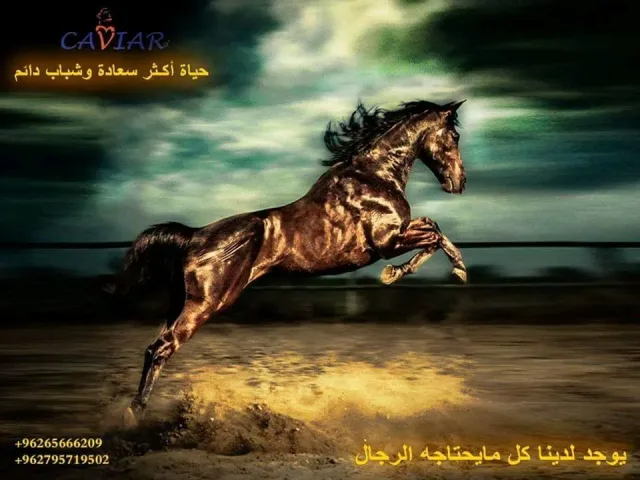 مركز كافيار الطبي 12