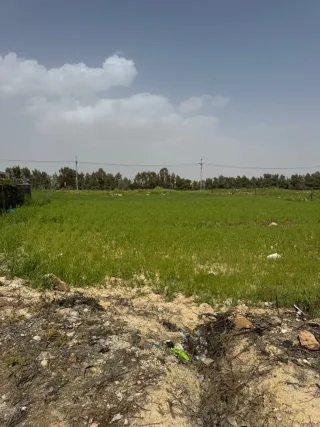 ارض سكنيه السرو السلط