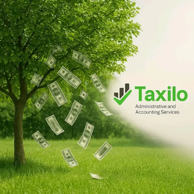 Taxilo for accounting services 3