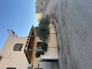 حدادة وقرميد 6