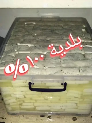 جبنه غنم بلديه 100% 2