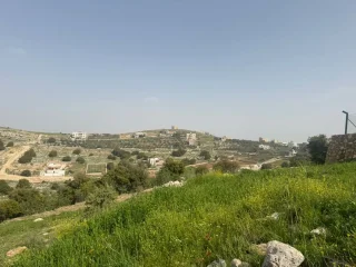 ارض بالزعتري السلط اطلاله رائعه 14