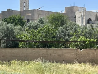 ارض بالجبيهه طريق ياجوز