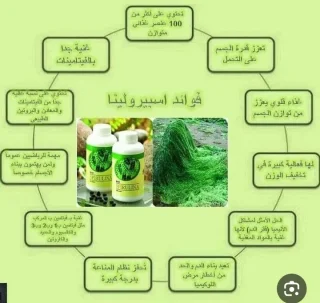 سيبرولينا الطحالب الخضراء 15