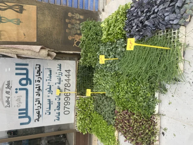زهرة االلوتس لتجارة المواد الزراعية 7