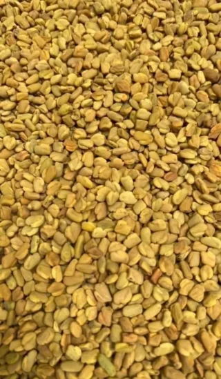 مطاحن أهل الراية 3