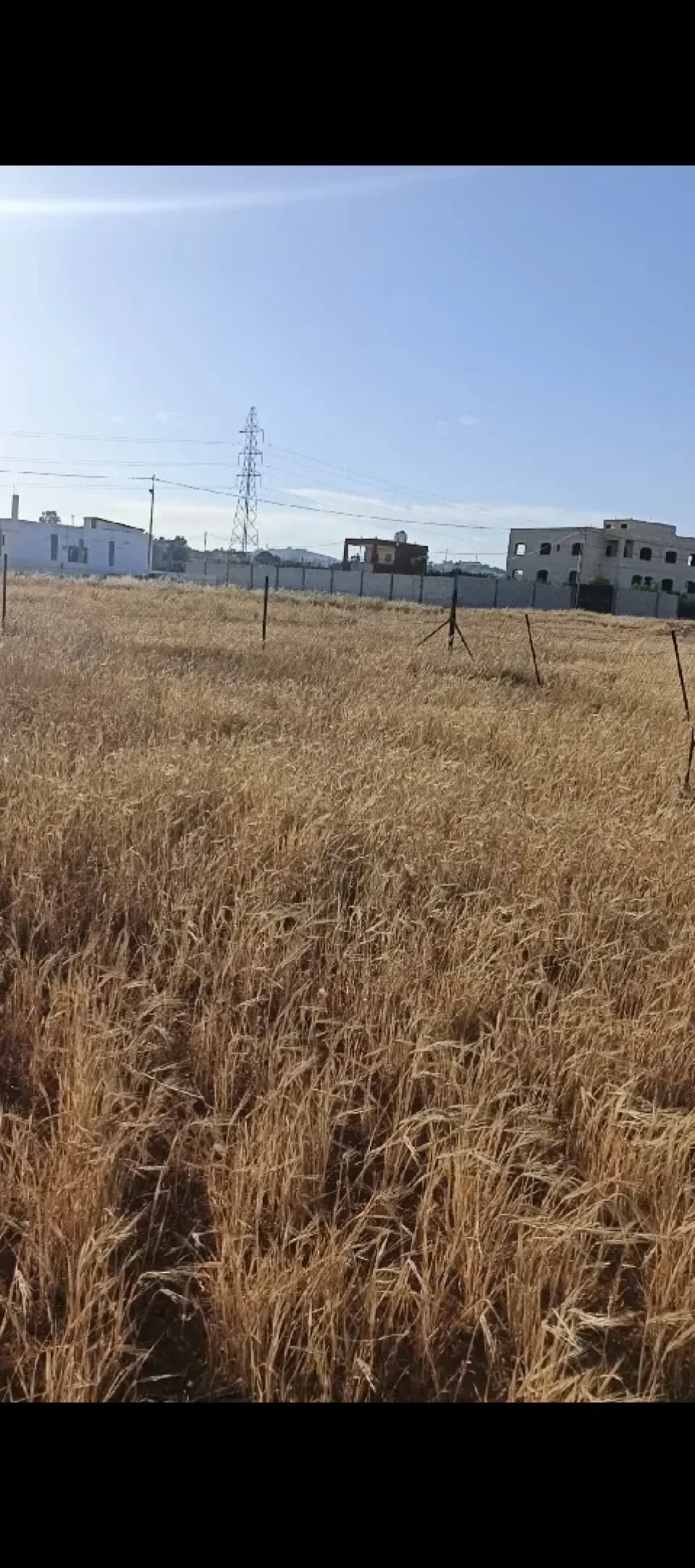 ارض زراعية في بلعما