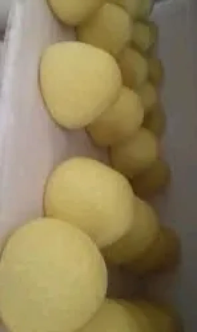 زاد وزواده 8