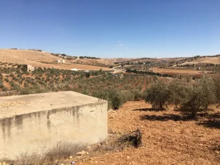 قطع أراضي مميزة للبيع على طريق المفرق-جرش بالقرب من حمامة تصلح للسكن والزراعة وا 5