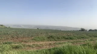 ارض مميزة من اراضي اربد / ام قيس