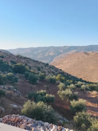 مزرعه للبيع 3