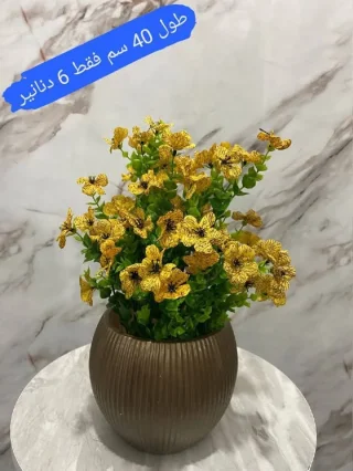 محمد الشنب