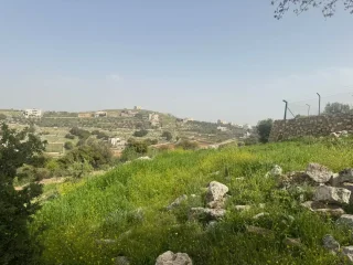 ارض بالزعتري السلط اطلاله رائعه 12