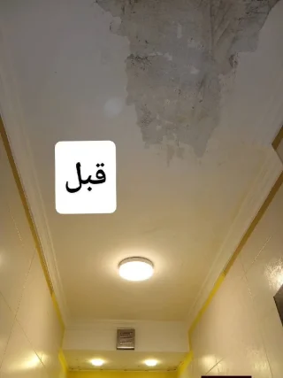 دهان وديكورات داخلي وخارجي 11