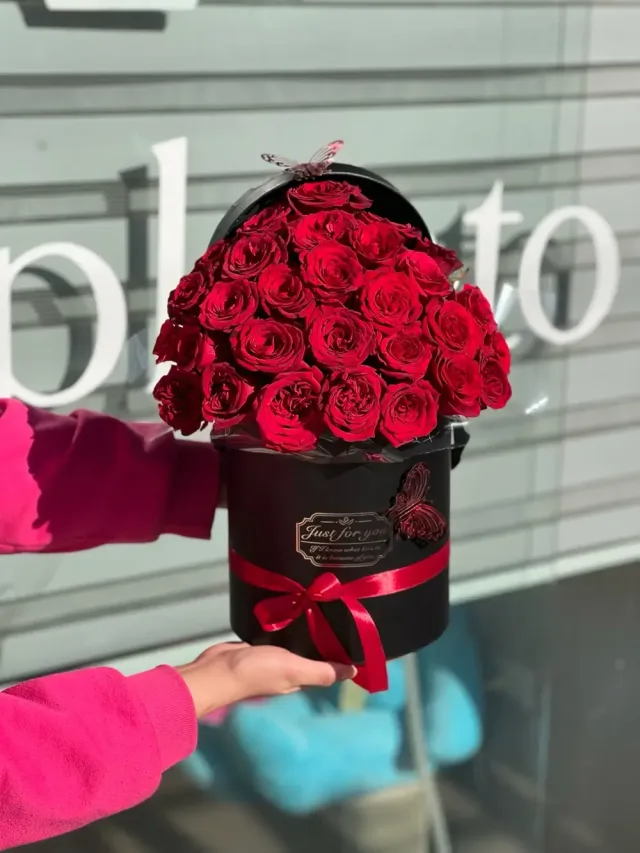 Planto Flowers - ازهار بلانتو
