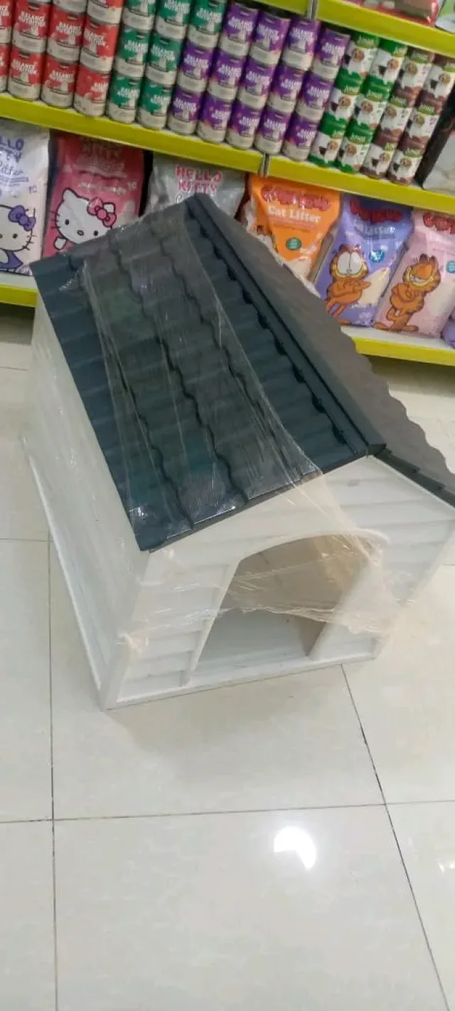 dargon Pet shop 8