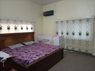 برادي زيبرا عدد 2
