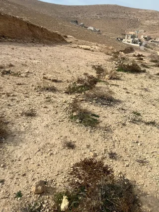 أرض للبيع 3