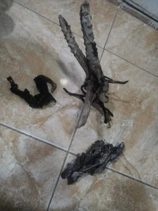 اكسسوارات حوض سمك