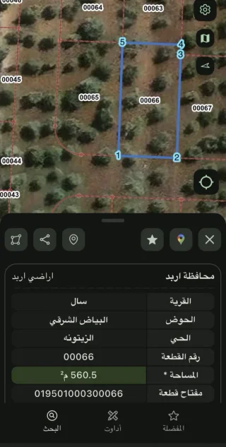 ارض مزروعه زيتون تصلح للبناء  او  الاستثمار 2