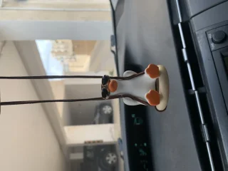 Swing Duck 2