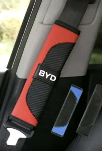 اكسسوارات فخمة خاصة بسيارة BYD 2