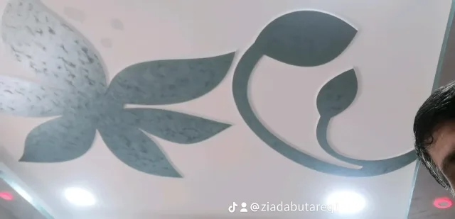ابو طارق لكافه اعمال الدهان والديكور 7