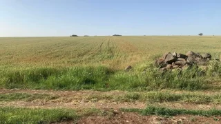 ارض مميزة من اراضي اربد / ام قيس
