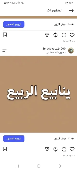 روضة ومدرسة ينابيع الربيع الإسلامية النموذجية 3
