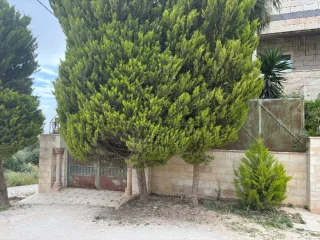 بيت مكون من 3 طوابق للبيع
