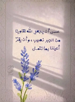 قوة عالية  وأداء لا يُضاهى بين يديك الآن، لتجربة تنظيف استثنائية تختصر وقت وجهدك. 2