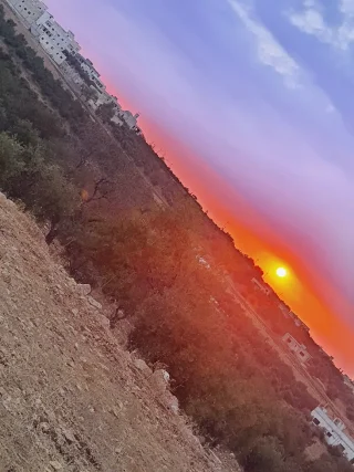 ارض للبيع مشترك 14