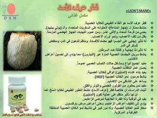 مكمل غذائي عرف الاسد 2