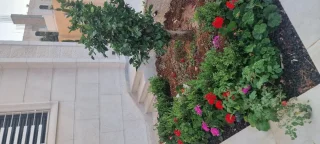 مقاولات عامة وتشطيبات 11