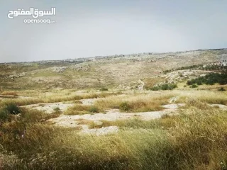 أرض زراعيّة تصلح لعمل مزرعة بأقل سعر في المنطقة 4
