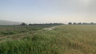 ارض مميزة من اراضي اربد / ام قيس