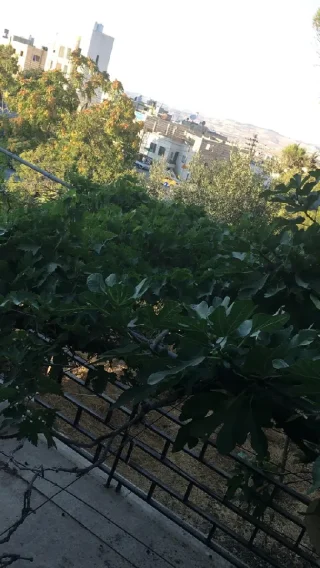 بيت مستقل في صويلح حي الإرسال 8