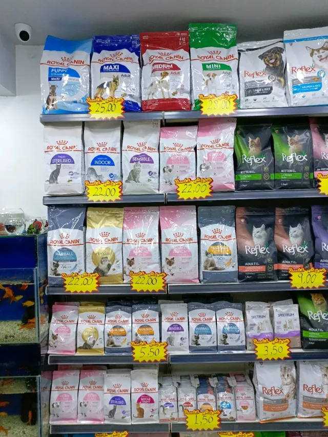 Snoopy pets Shop 8
