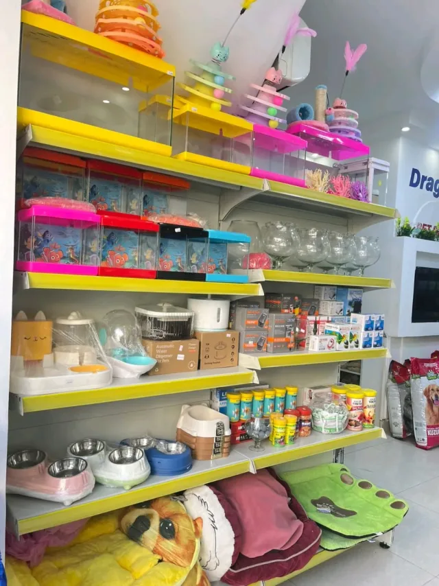 dargon Pet shop 10