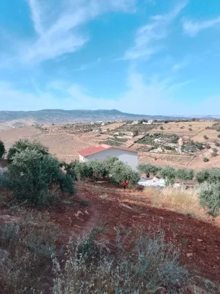 مزرعه للبيع 6