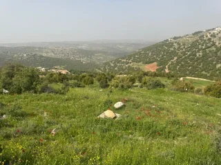 ارض بالزعتري السلط اطلاله رائعه