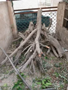 حطب للبيع 2