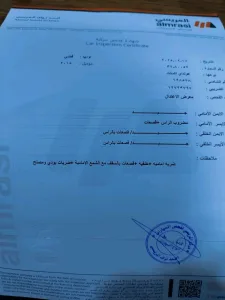 هيونداي اكسنت 2015 لون سلفر ماتور 1600 فحص 3 جيد 14