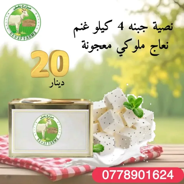 مزارع رهف 11
