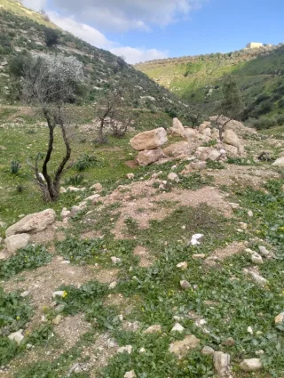 ارض زراعيه للبيع 10